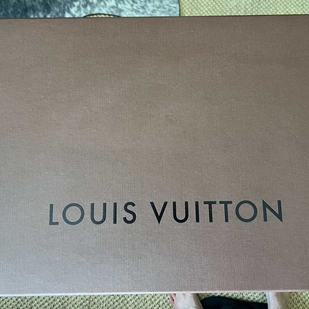 Louis Vuitton Brown Purse Box